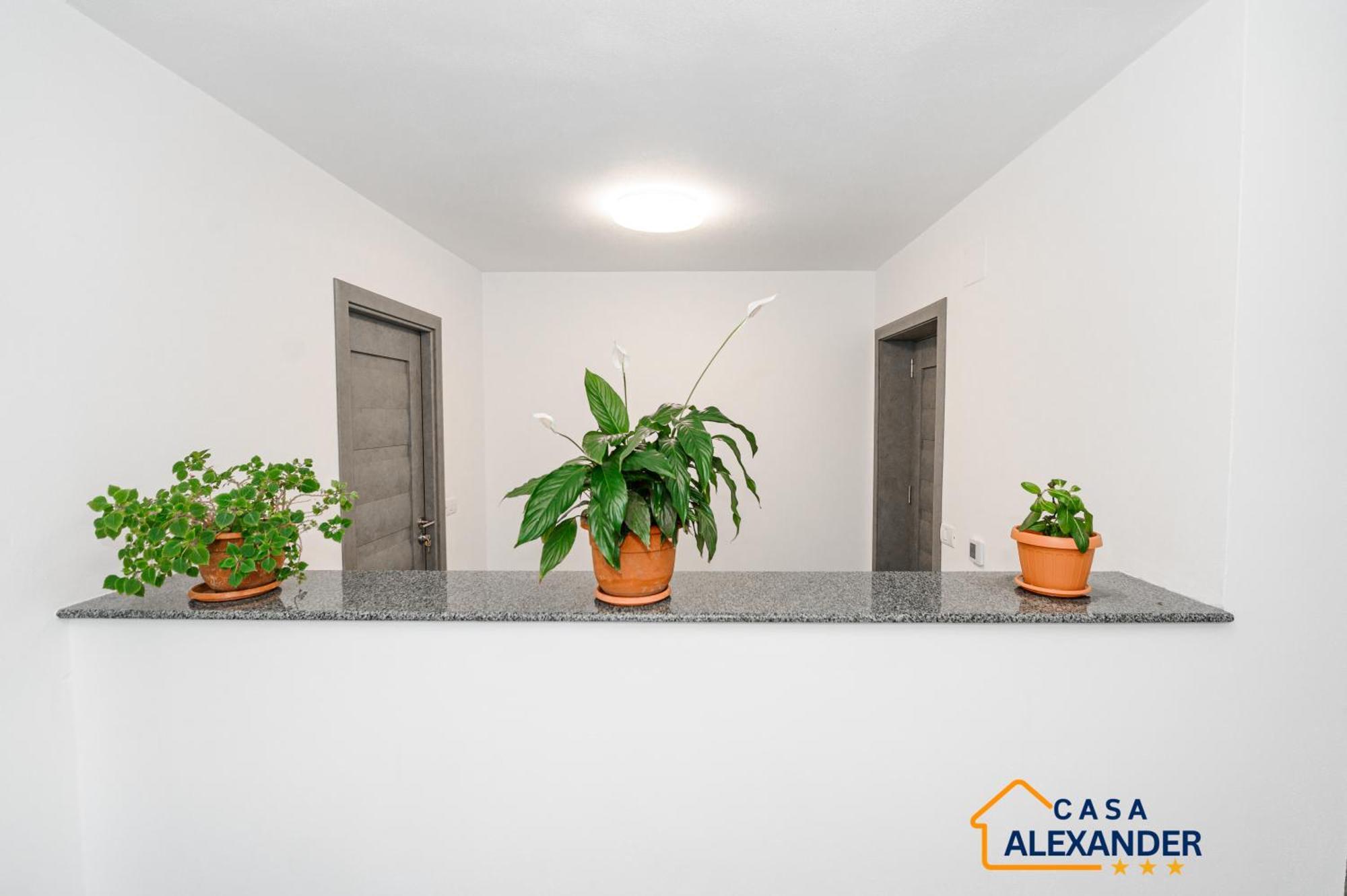 Casa Alexander Hotel Calimanesti Luaran gambar